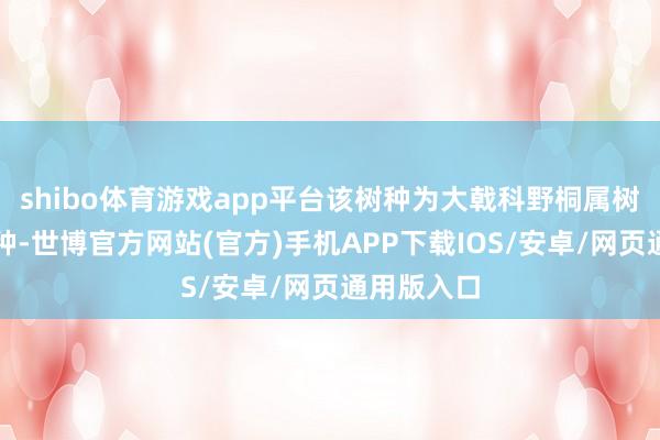 shibo体育游戏app平台该树种为大戟科野桐属树木的新物种-世博官方网站(官方)手机APP下载IOS/安卓/网页通用版入口