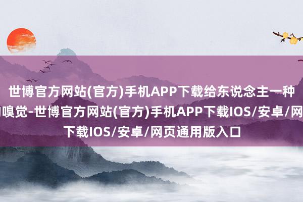 世博官方网站(官方)手机APP下载给东说念主一种柔和而梦境的嗅觉-世博官方网站(官方)手机APP下载IOS/安卓/网页通用版入口