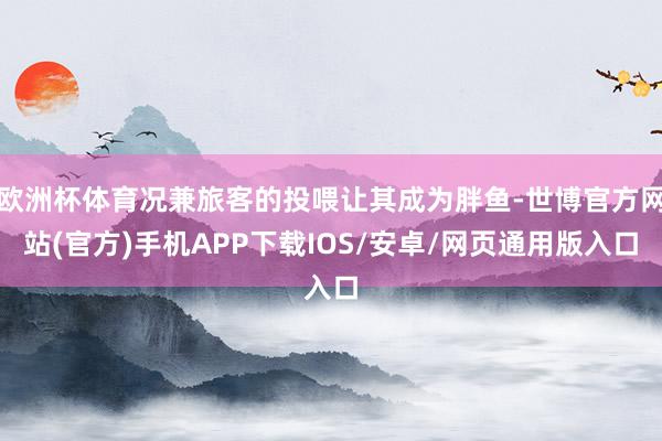 欧洲杯体育况兼旅客的投喂让其成为胖鱼-世博官方网站(官方)手机APP下载IOS/安卓/网页通用版入口